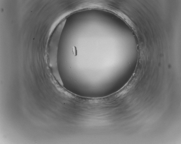 X0000069840904200606021358