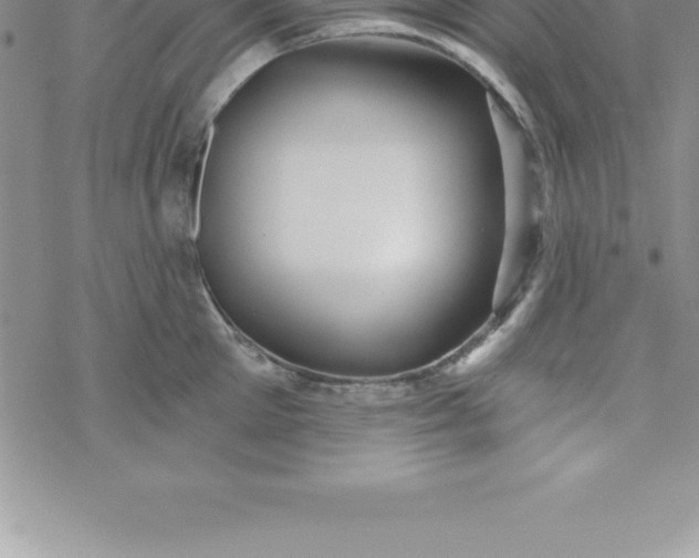 X0000069840905200606021358