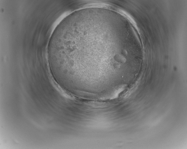 X0000069840907200606021358