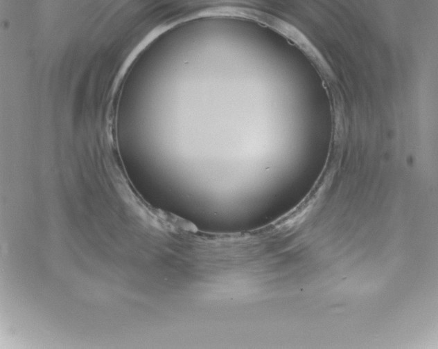 X0000069840908200606021358