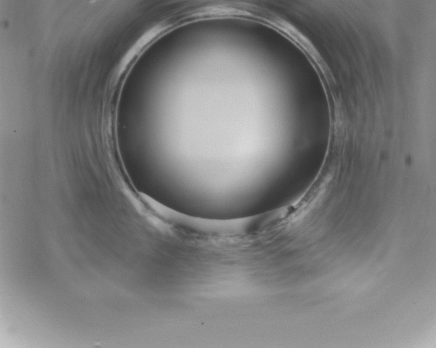 X0000069840909200606021358