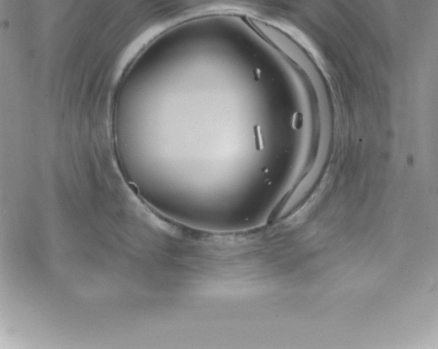 X0000069840910200606021358