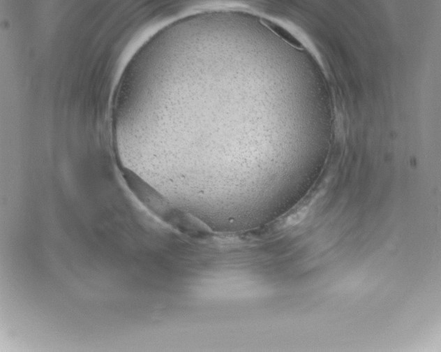 X0000069840911200606021358