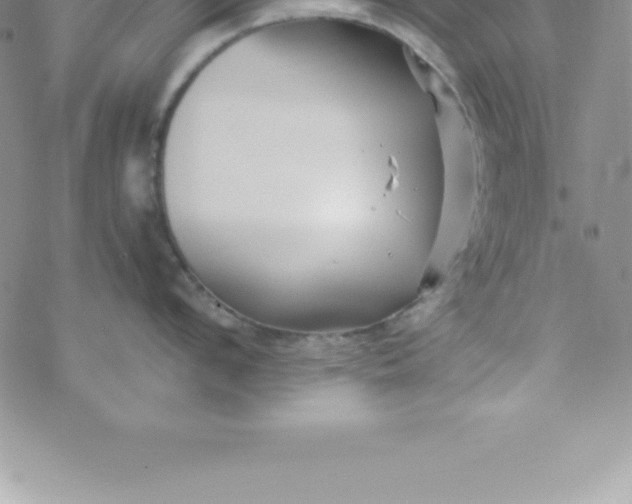 X0000069840912200606021358