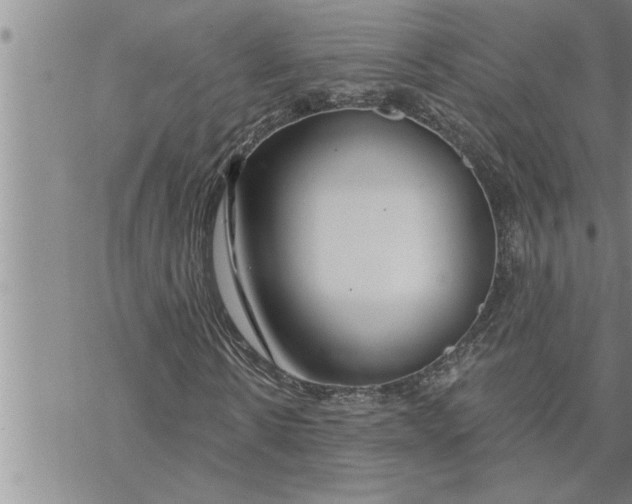 X0000069840914200606021357