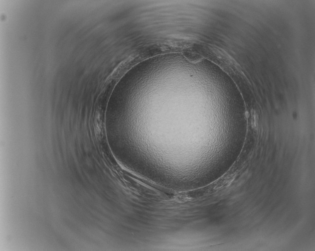 X0000069840915200606021357