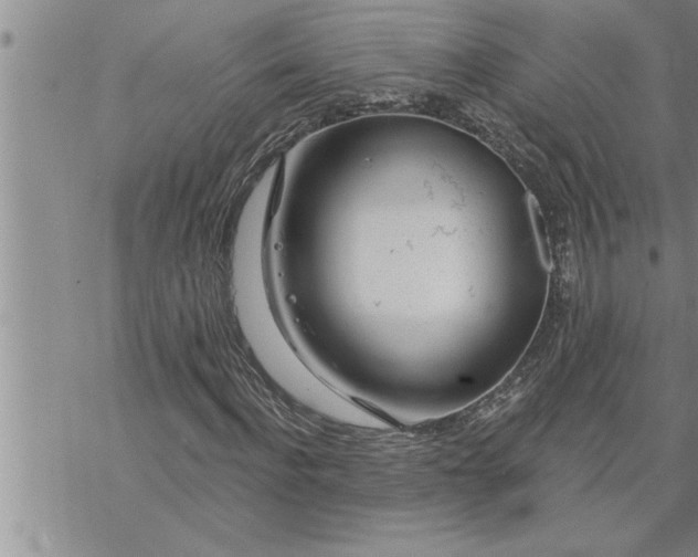 X0000069840916200606021357