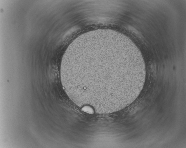 X0000069840918200606021357