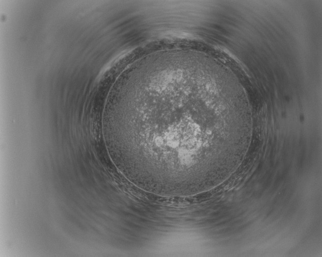 X0000069840919200606021357