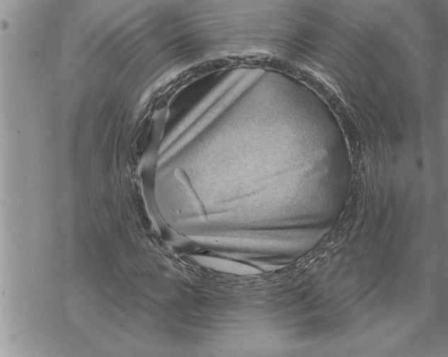 X0000069840920200606021357