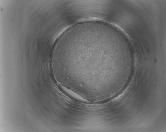 X0000069840921200606021357