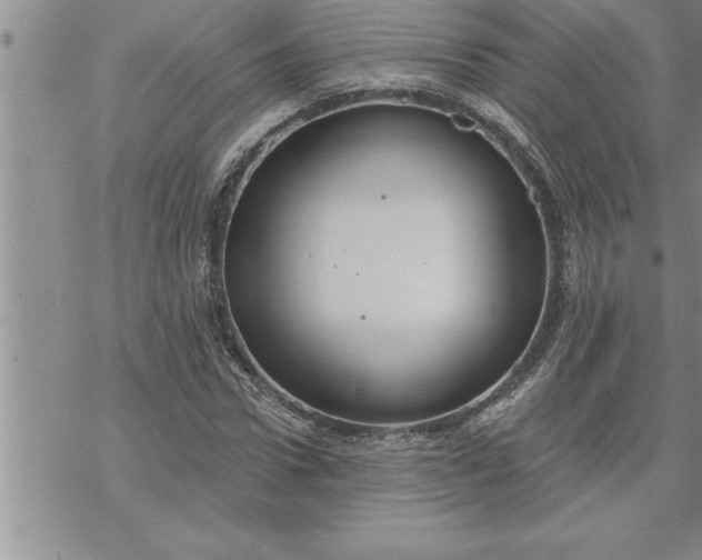 X0000069840922200606021357