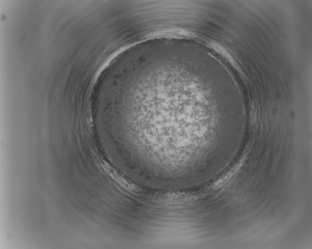 X0000069840923200606021357