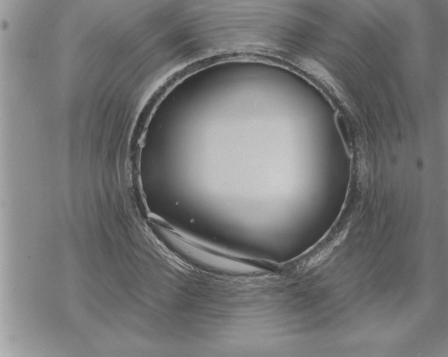 X0000069840924200606021357