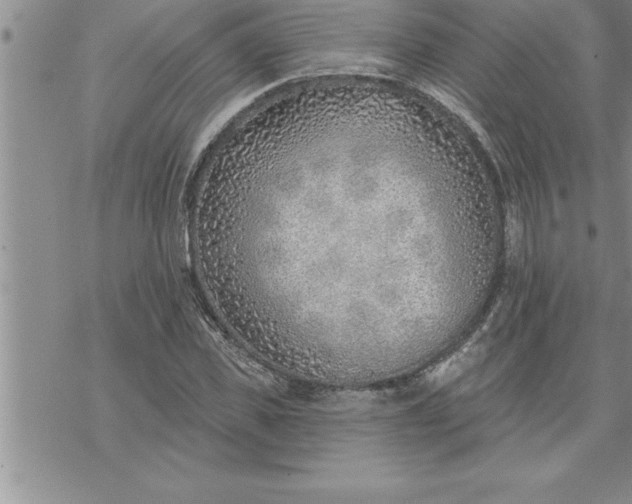 X0000069840925200606021357