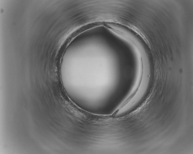 X0000069840926200606021357