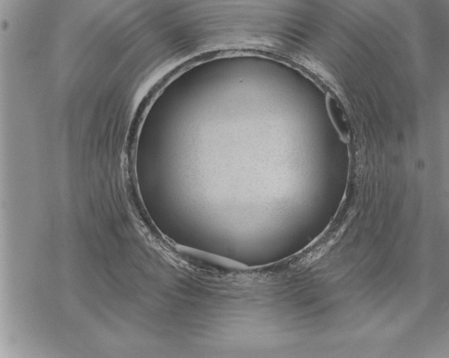 X0000069840928200606021358