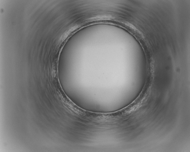 X0000069840929200606021358