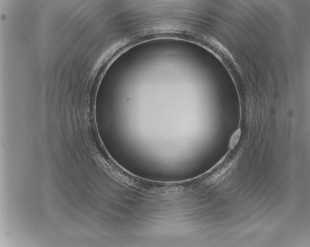 X0000069840930200606021358