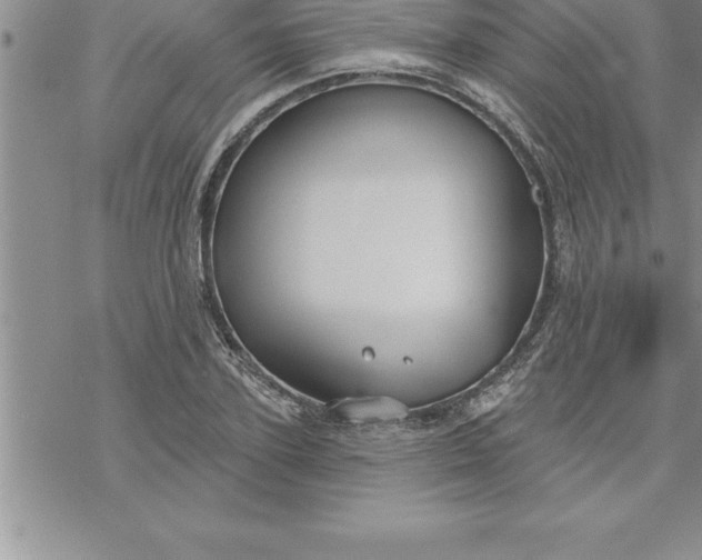 X0000069840931200606021358