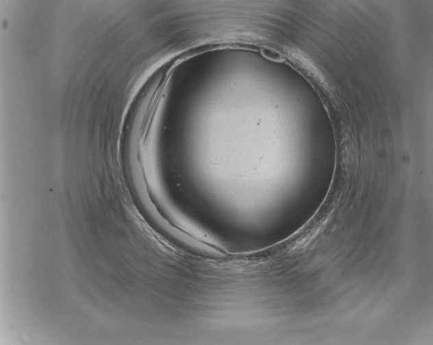 X0000069840932200606021358