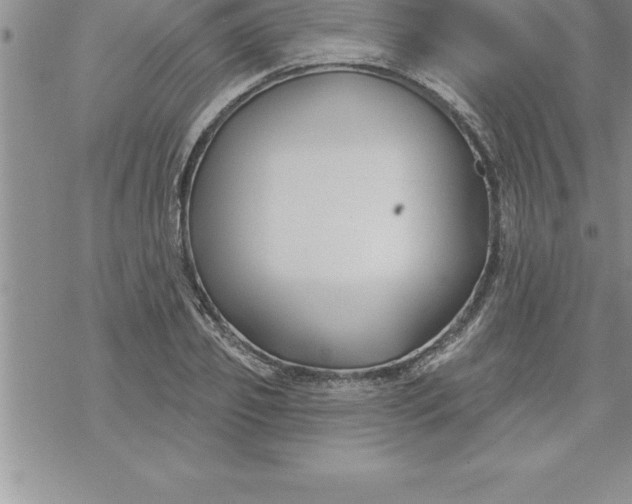 X0000069840933200606021358