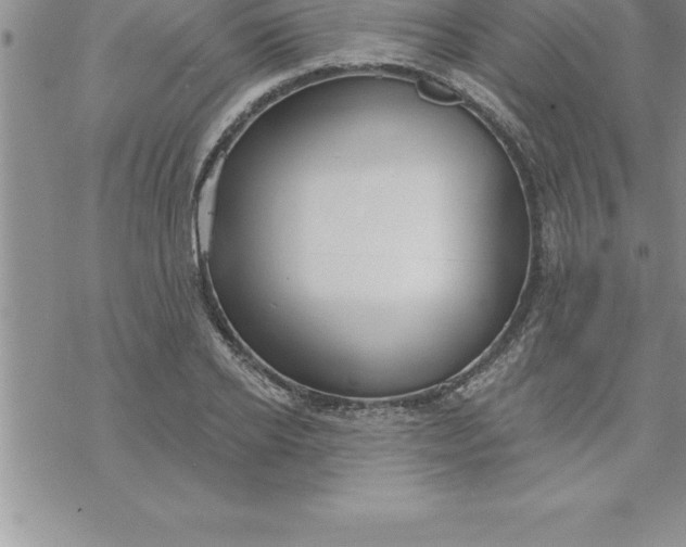 X0000069840934200606021358