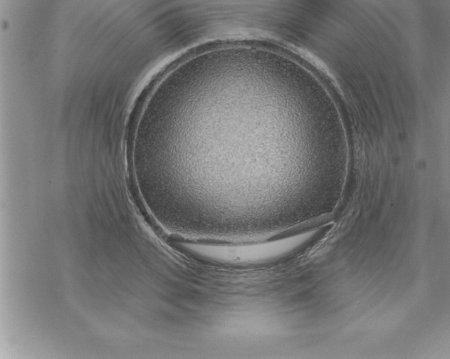 X0000069840935200606021358