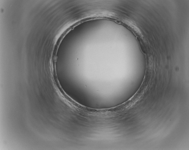 X0000069840936200606021358