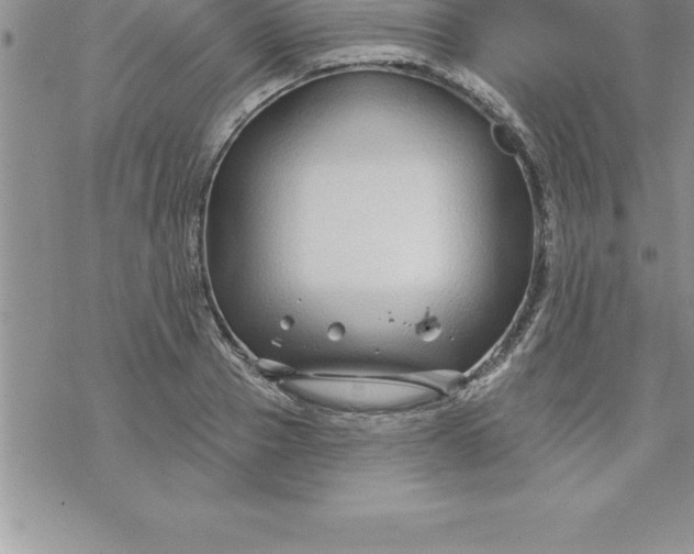 X0000069840937200606021358