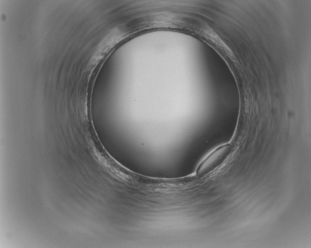 X0000069840938200606021358