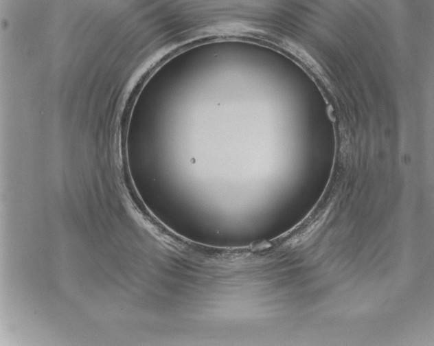 X0000069840939200606021358