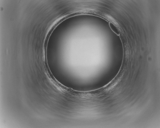 X0000069840940200606021358