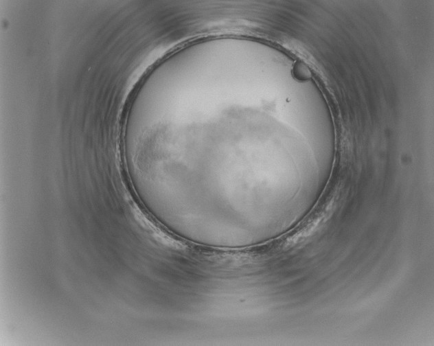 X0000069840941200606021358