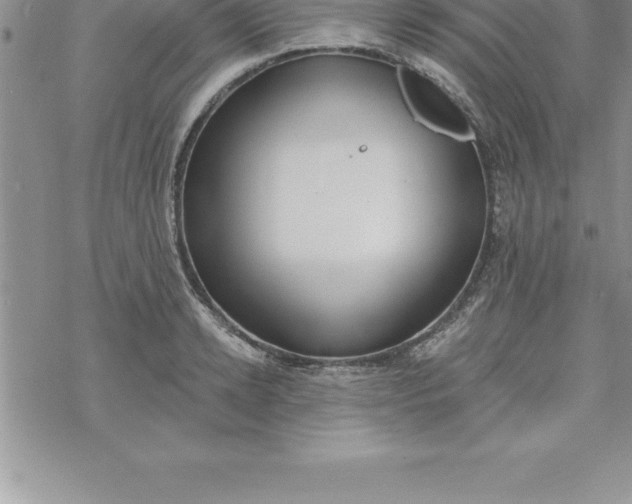 X0000069840942200606021358