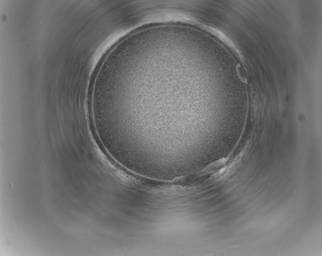 X0000069840943200606021358