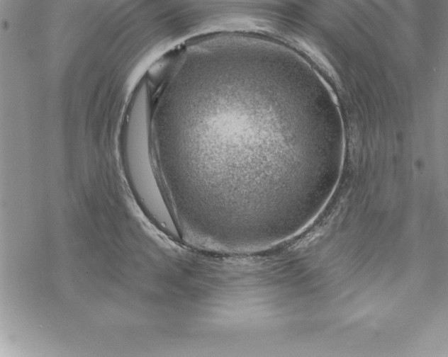 X0000069840944200606021358