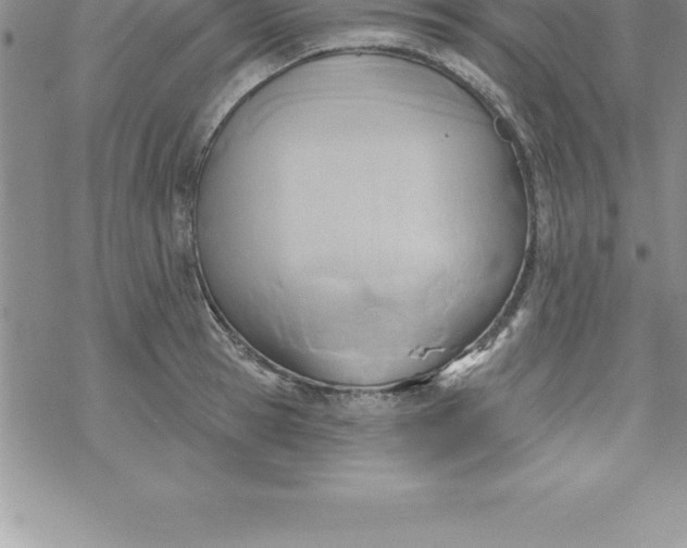 X0000069840945200606021358