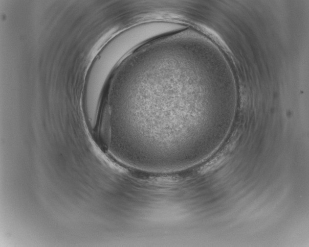 X0000069840946200606021358