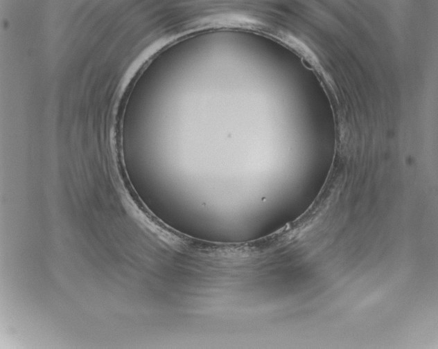 X0000069840947200606021358