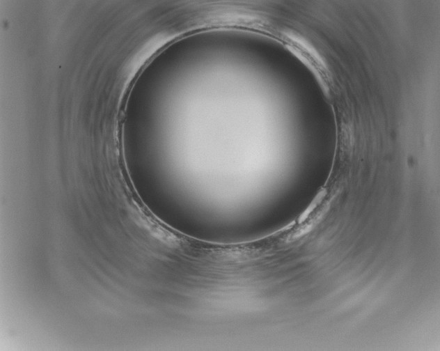 X0000069840948200606021358