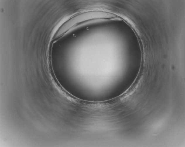 X0000069840949200606021358