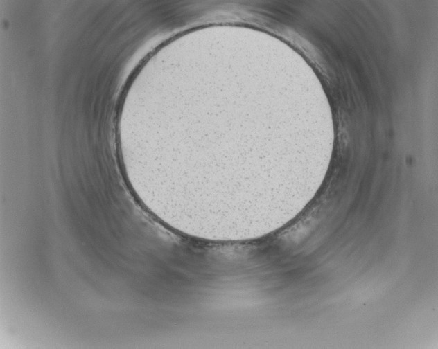 X0000069840950200606021358