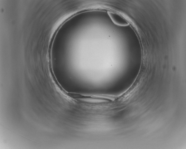 X0000069840951200606021358