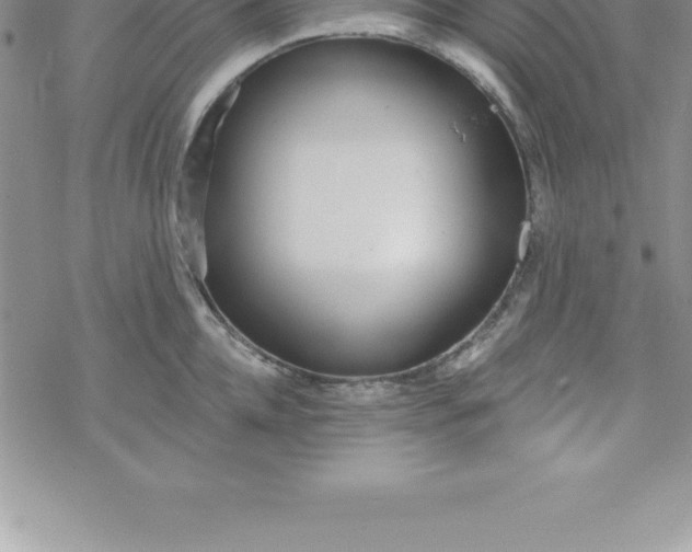 X0000069840952200606021358