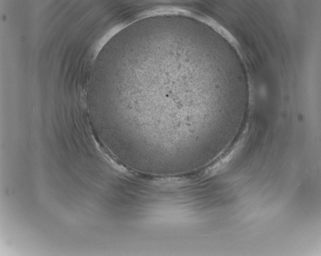 X0000069840953200606021358