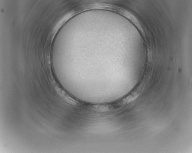 X0000069840954200606021358