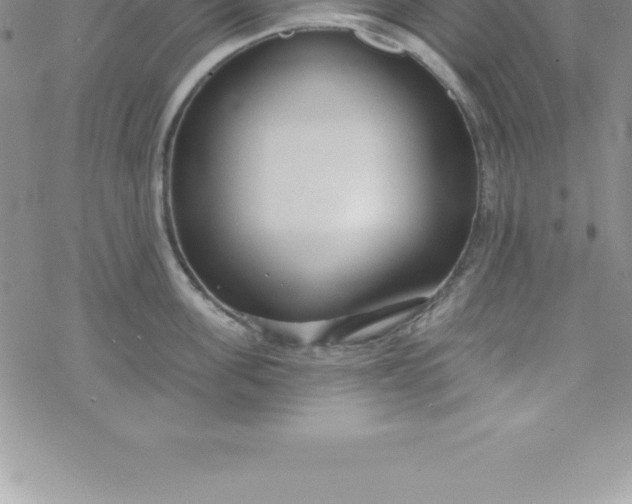 X0000069840955200606021358