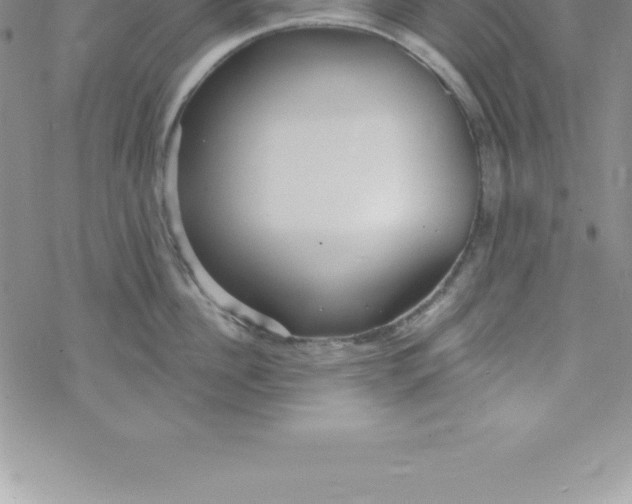 X0000069840956200606021358