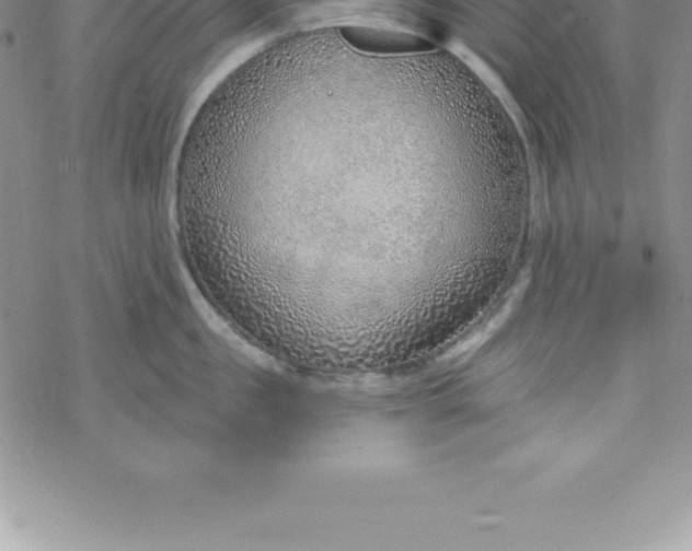 X0000069840957200606021358